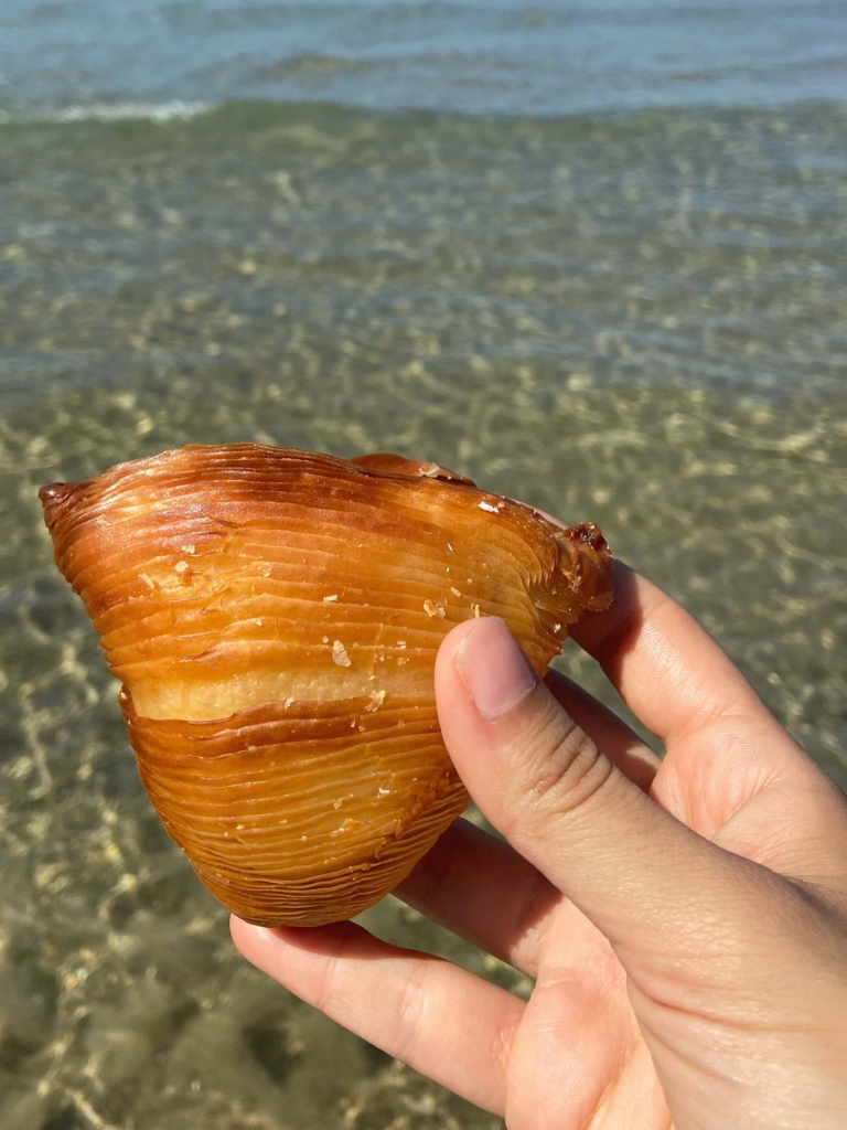 Neapolitan puff