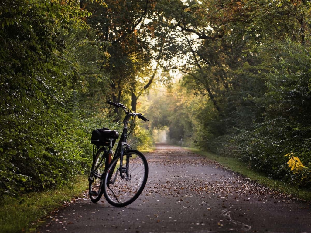 bike and nature for healthy lifestyle